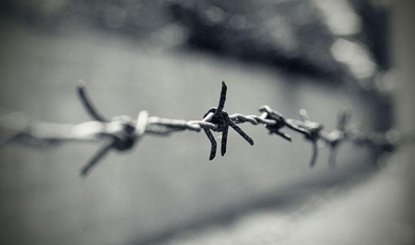 Holokaust a jiné genocidy